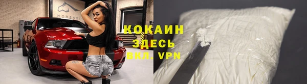 ПСИЛОЦИБИНОВЫЕ ГРИБЫ Алексин