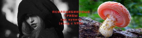дмт Алексеевка