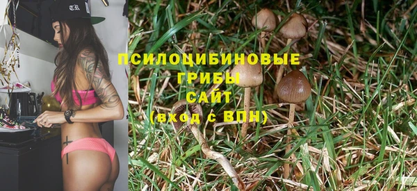 хмурый Майский